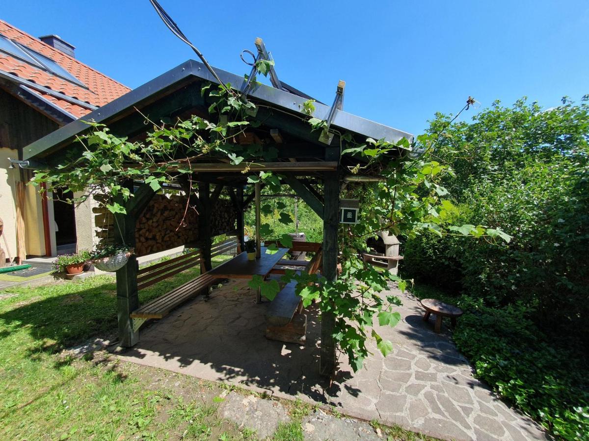 Das Gruene Haus Am Hexenstieg 뤼벨란트 외부 사진