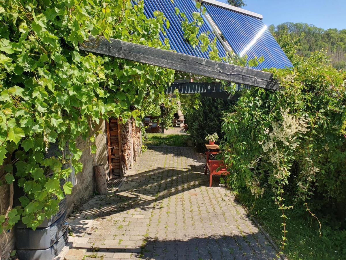 Das Gruene Haus Am Hexenstieg 뤼벨란트 외부 사진