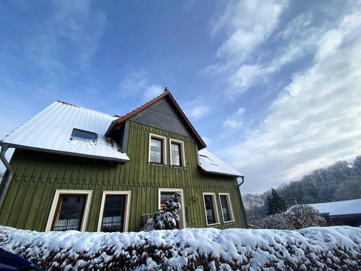 Das Gruene Haus Am Hexenstieg 뤼벨란트 외부 사진