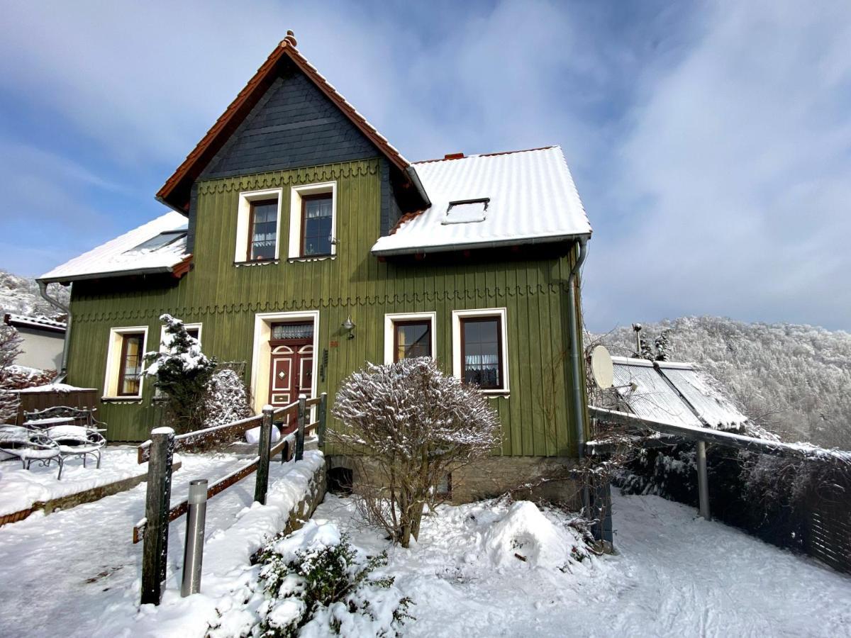 Das Gruene Haus Am Hexenstieg 뤼벨란트 외부 사진