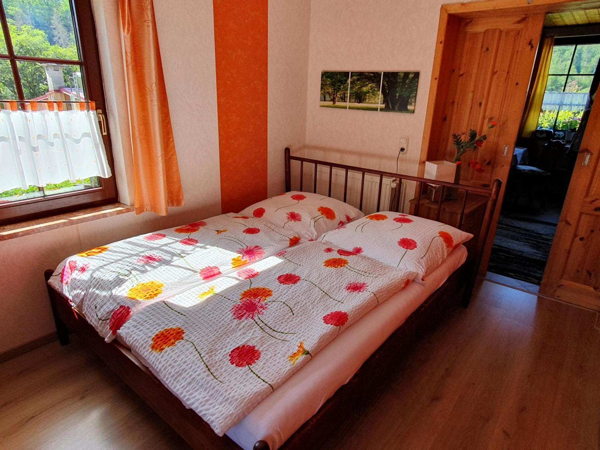 Das Gruene Haus Am Hexenstieg 뤼벨란트 외부 사진